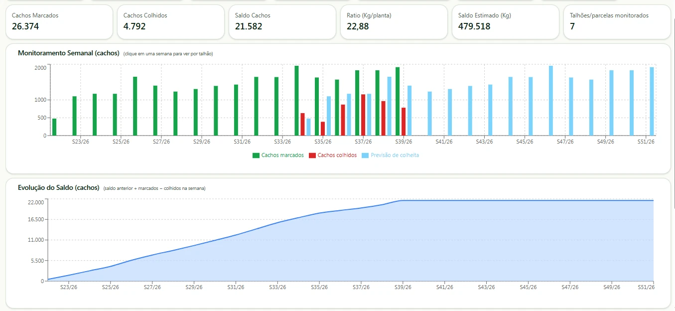 Painel de monitoramento semanal com indicadores de cachos, previsão de colheita e evolução do saldo